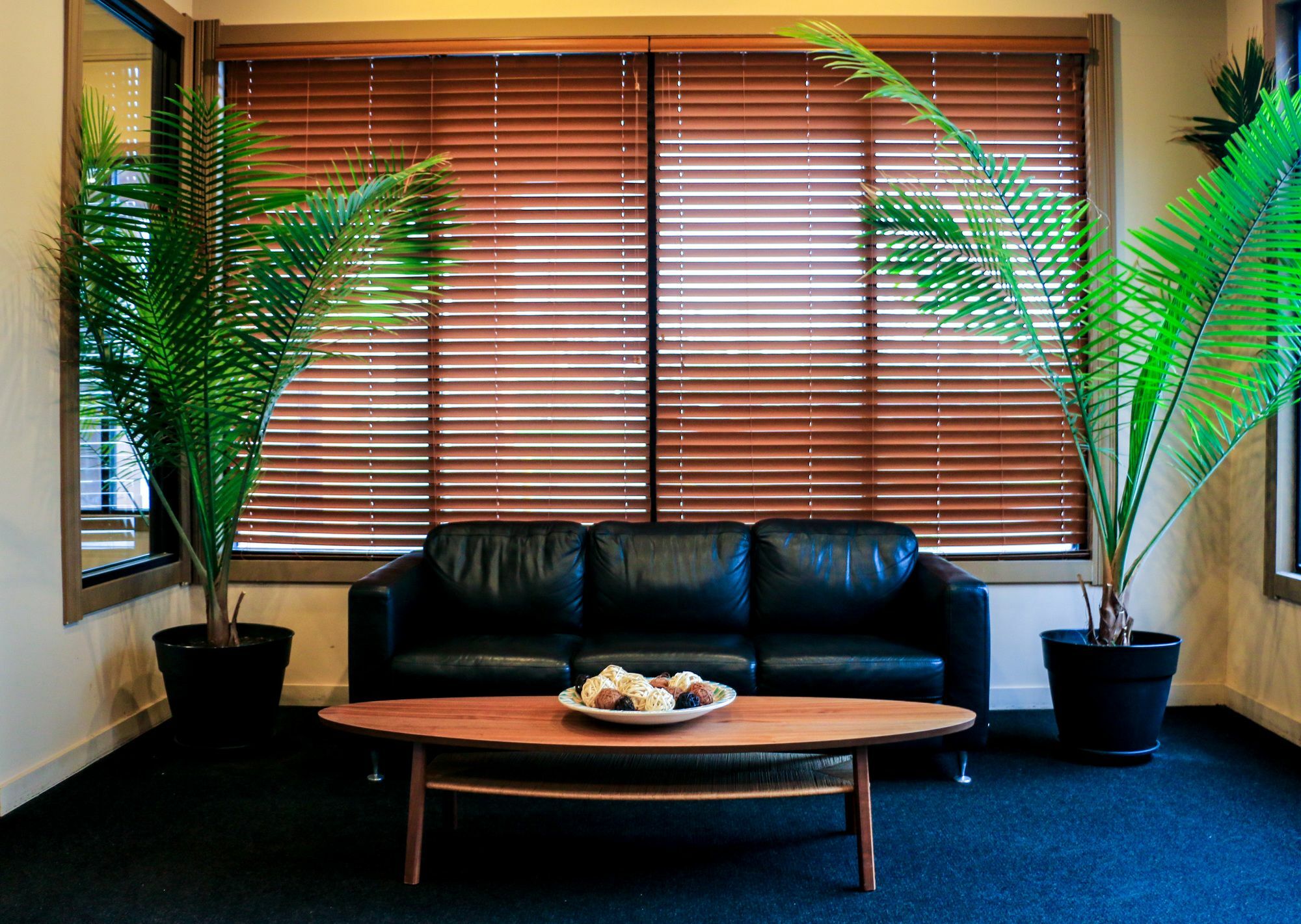 Suite Dreams Hotel Mattoon Exteriér fotografie